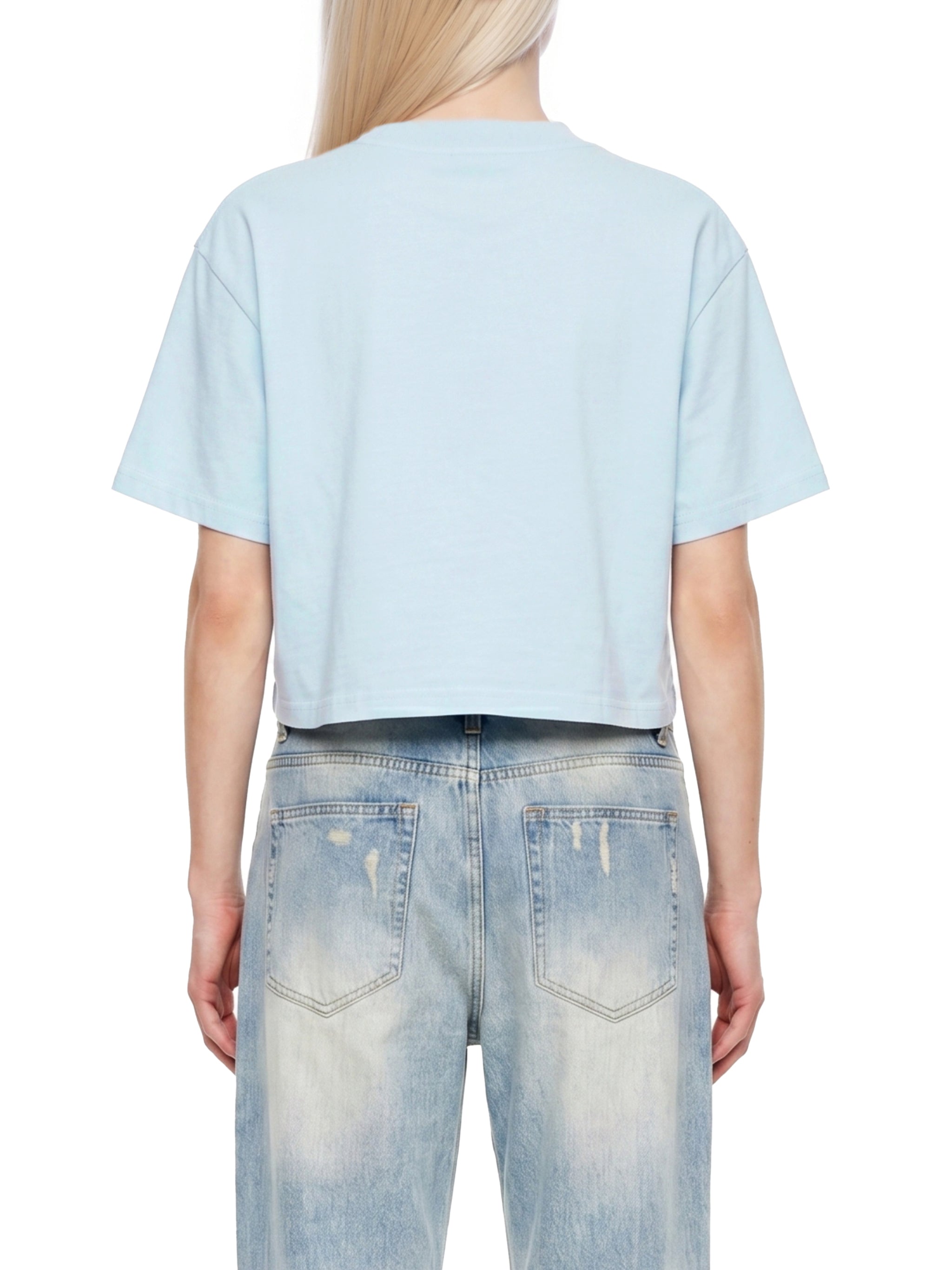 Vintage Harvest Girl Snow Wash Crop Top